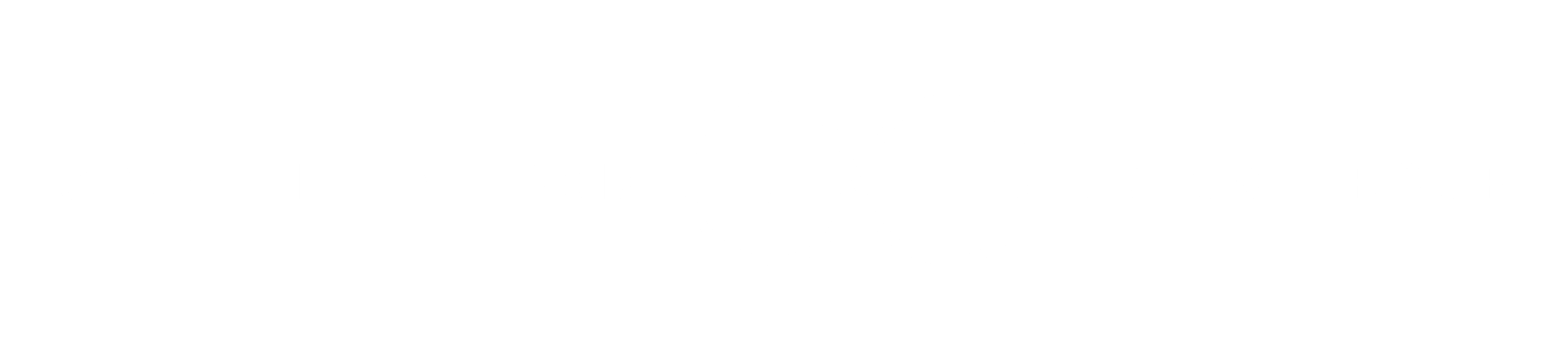 Logo Goico Group